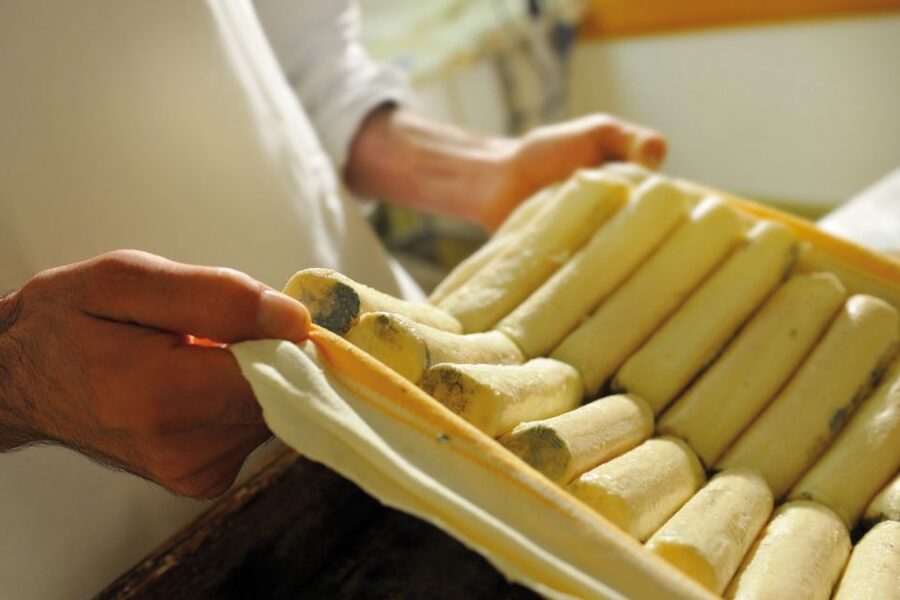 Lake Como: Cheese Factory Tour and Tasting in Valsassina - The 40-minute guided walkthrough inside the dairy