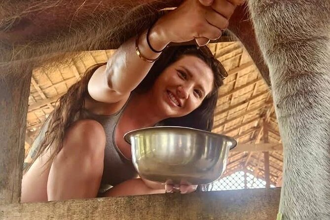 Laos Buffalo Dairy Tours Interact, Learn and Taste Fresh Flavors - Price and value: what $14 buys you in Luang Prabang