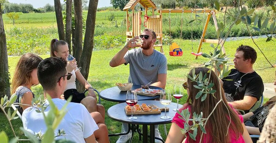 Lazise: Wine Tasting with Charcuterie and Cheese Board - The three wines: what to notice in each pour