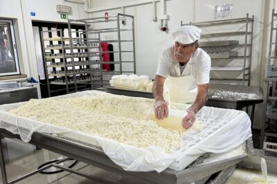 Lisbon Cheese Factory Visit, Wine Tasting and Tile Painting Tour - Alcochete and Quinta do Anjo Cheese Factory: Azeitão Sheep Cheese in the Real World