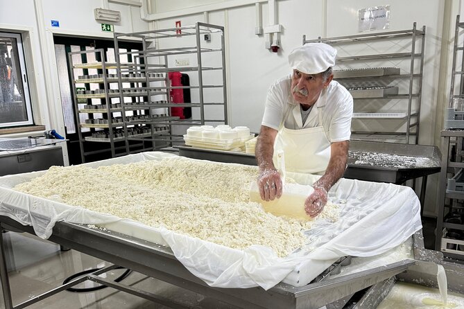 Lisbon Cheese Factory Visit, Wine Tasting and Tile Painting Tour - Alcochete and Quinta do Anjo Cheese Factory: Azeitão Sheep Cheese in the Real World