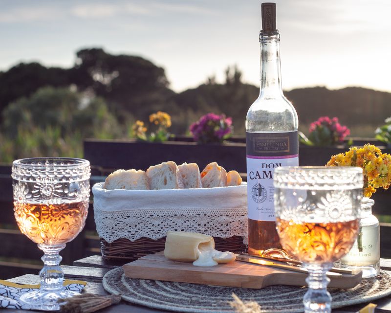 Lisbon Getaway: Private Arrábida Wine & Food Tour - From Lisbon to Setúbal: The Easy Part Is the Transport
