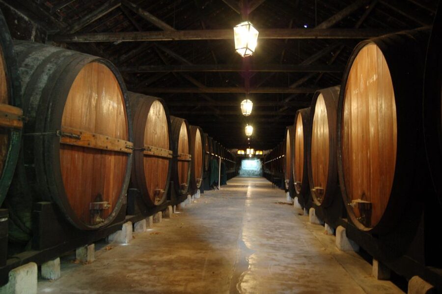 Lisbon Getaway: Private Arrábida Wine & Food Tour - Sesimbra: Castelo Stops, Walls, and a Little Extra Sea Town Time