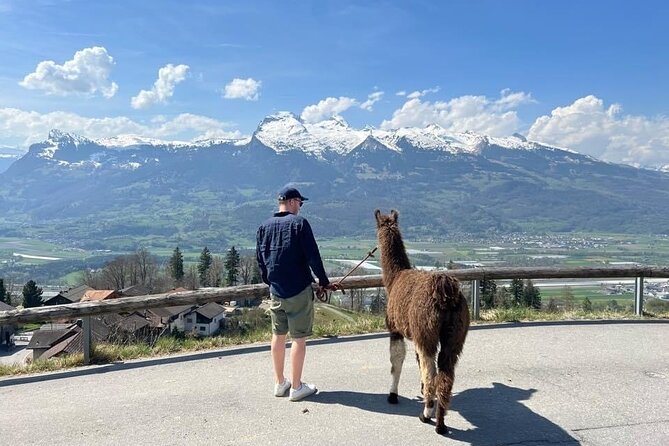 Llama hike with homemade, traditional cheese fondue - Key reasons this llama hike + fondue is worth your time