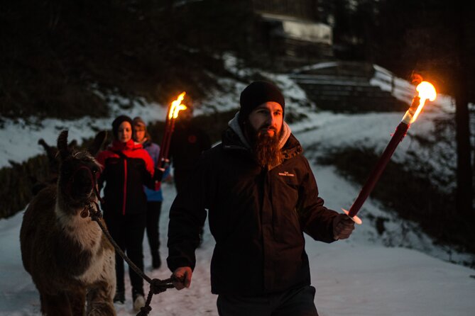 Llama hike with homemade, traditional cheese fondue - On-trail learning: how the guides help you feel confident around llamas