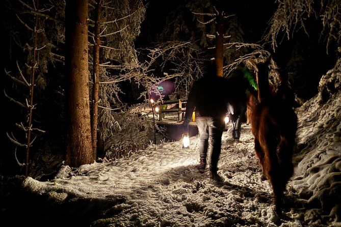 Llama hike with homemade, traditional cheese fondue - Price and value: what 99.90 buys you in real terms