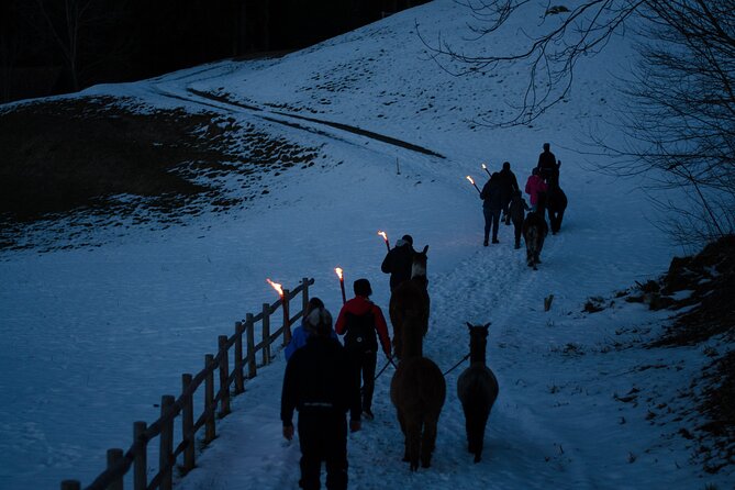 Llama hike with homemade, traditional cheese fondue - Before you go: practical tips for a smoother 5:00 pm start