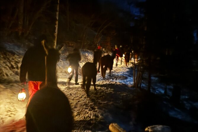 Llama hike with homemade, traditional cheese fondue - Your 2.5-hour llama hike: what the timing actually feels like