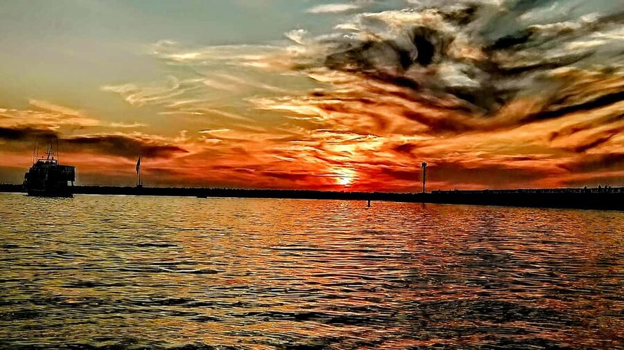 Los Angeles #1: Luxury Boat Cruise-Wine, Cheese & Sea Lions - A 2-hour sunset glide on an electric Duffy boat
