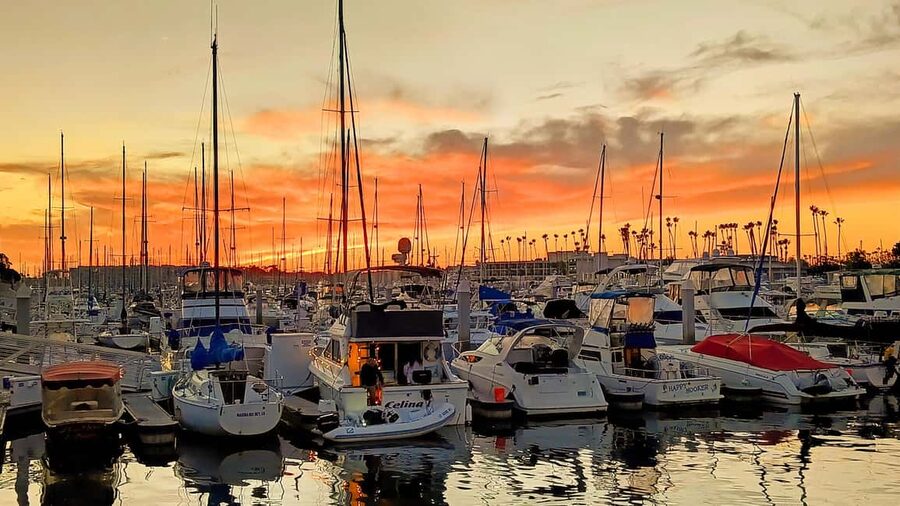 Los Angeles #1: Luxury Boat Cruise-Wine, Cheese & Sea Lions - What you get on board: wine, charcuterie, and a laid-back vibe
