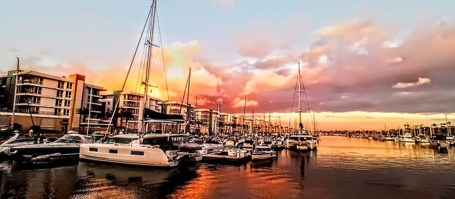Los Angeles #1: Luxury Boat Cruise-Wine, Cheese & Sea Lions - Captain Shaun and the guided part that actually helps