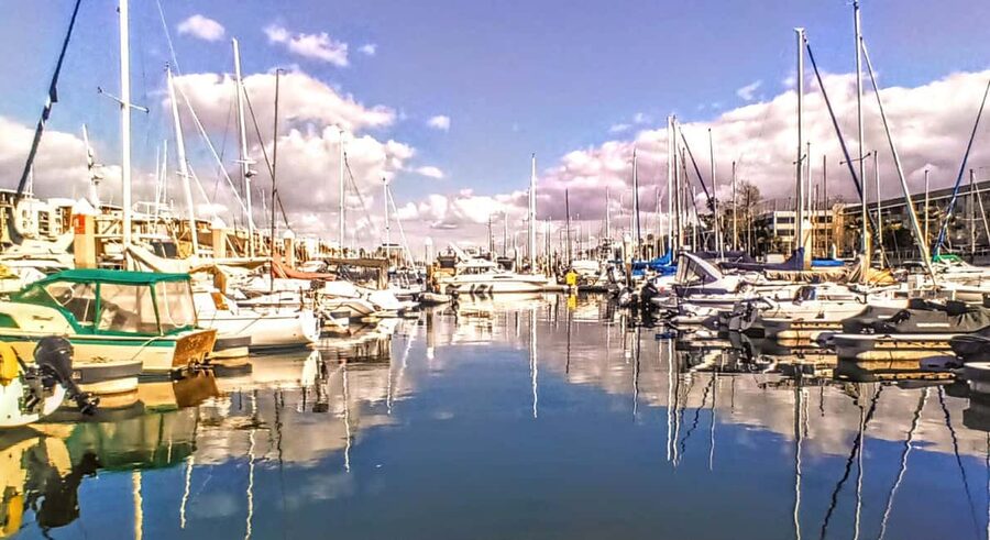 Los Angeles #1: Luxury Boat Cruise-Wine, Cheese & Sea Lions - Music: how to set the mood without extra effort