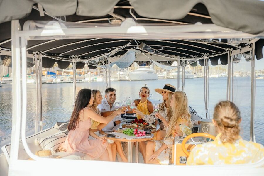 Los Angeles: Luxury Cruise with Wine, Cheese & Sea Lions - Wildlife spotting: sea lions, birds, and what to look for