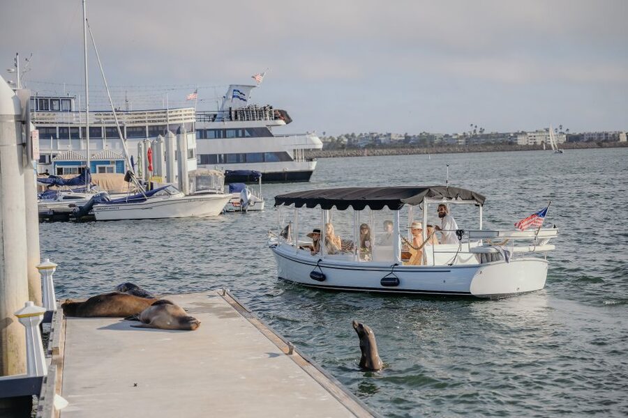 Los Angeles: Luxury Cruise with Wine, Cheese & Sea Lions - Best times to book: sunset energy vs. daytime cruising