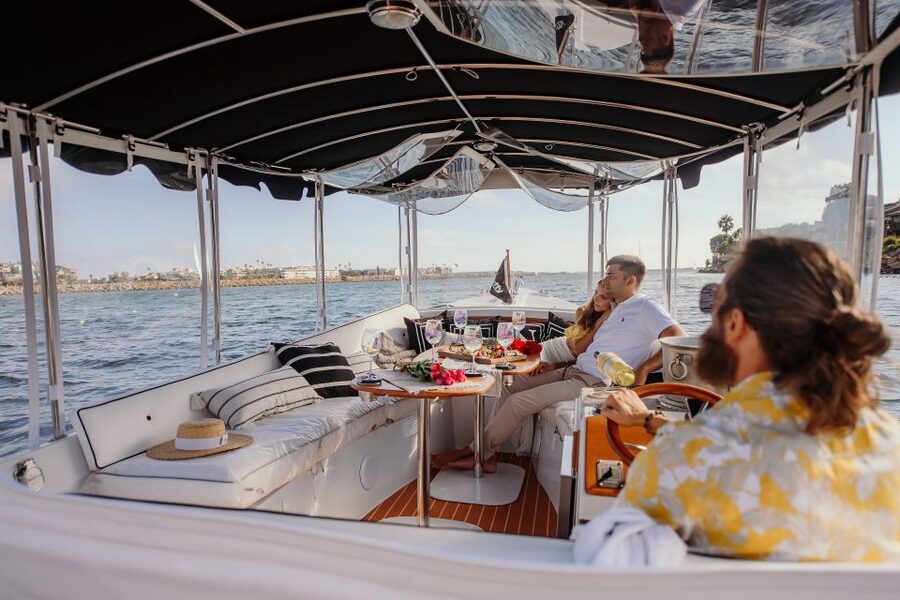 Los Angeles: Luxury Cruise with Wine, Cheese & Sea Lions - Price and value: what you’re paying for (and what you get back)