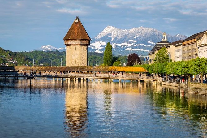 Lucerne CH Experience: Cheese, Chocolate, Chapel Bridge & Château - Cheese and Swiss wine pairing: what you learn in the tasting room
