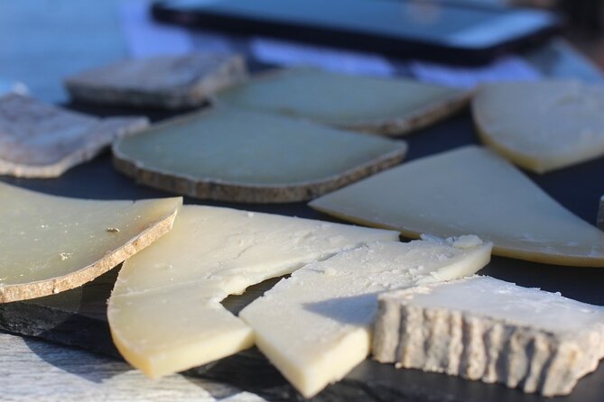 Mallorca Wine and Cheese Tasting - Puerto de Alcúdia at 5 pm: the relaxed way to start your tasting evening