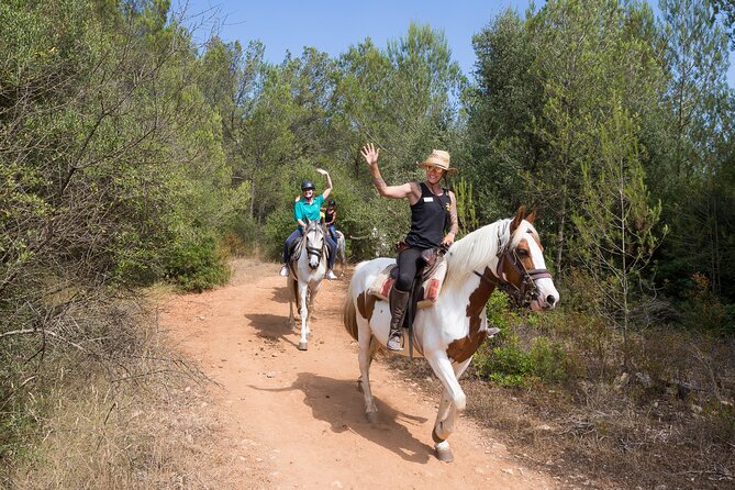 Mallorca Wine and Cheese Tasting - The venue vibe: ranch setting energy in Puerto de Alcúdia