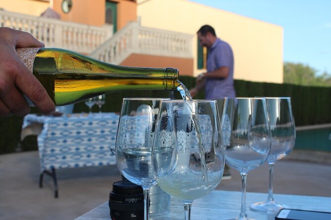 Mallorca Wine and Cheese Tasting - Price and value: is $48.57 fair for what you get?