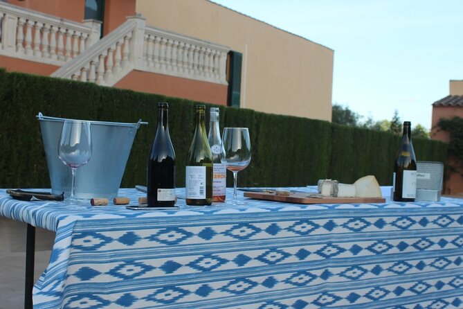 Mallorca Wine and Cheese Tasting - Practical tips to get the most from the 2-hour tasting
