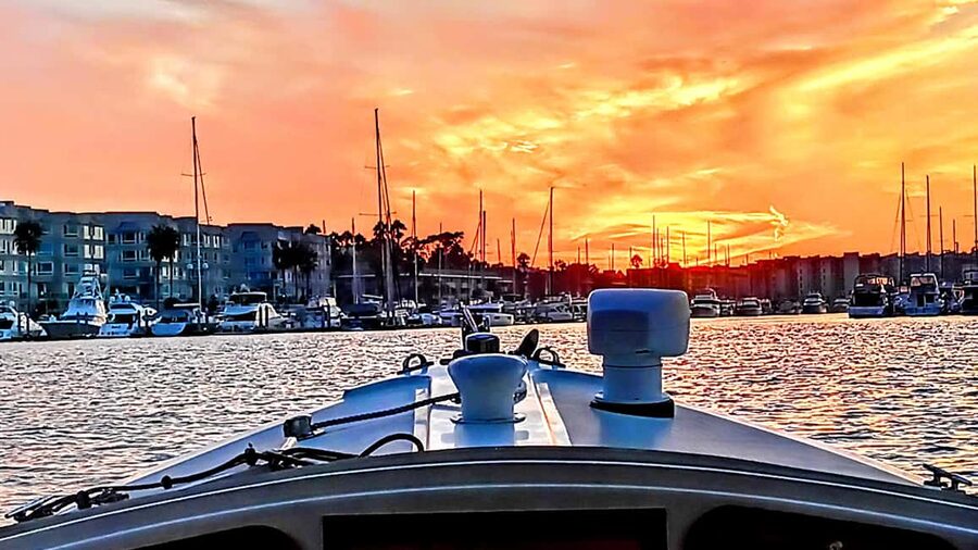 Marina Del Rey: Romantic Cruise, Wine, Cheese, Sealions - Sea lions, birds, and wildlife spotting close to the action