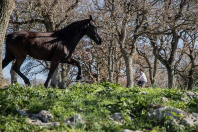 Martina Franca: E-bike farm tour & cheese tasting - Starting point at Parcheggio Largo Via Michelangelo Semeraro