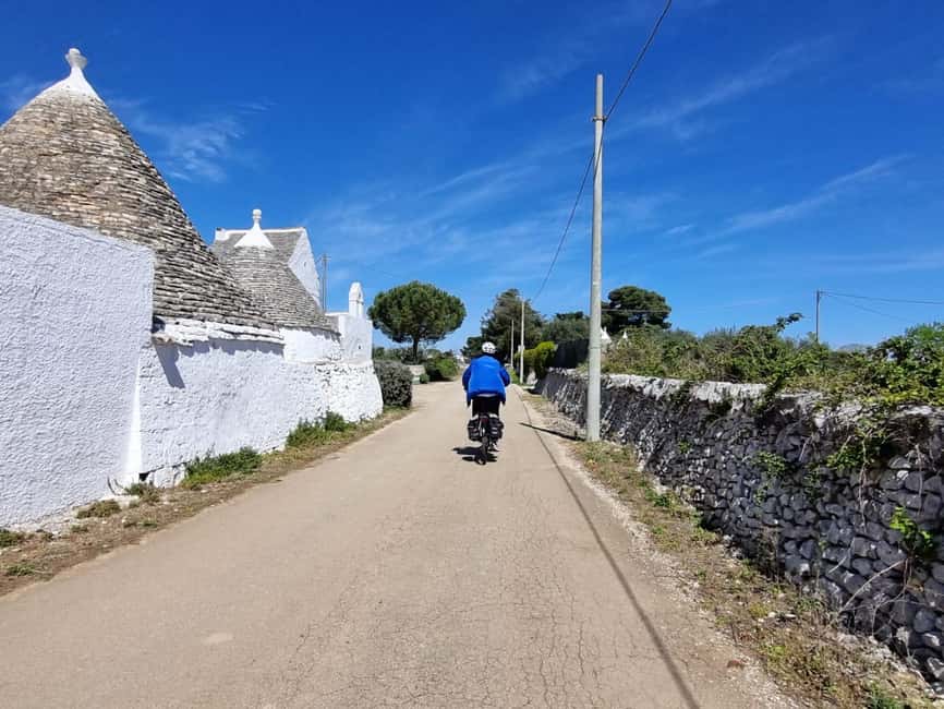 Martina Franca: E-bike farm tour & cheese tasting - The breeding farm: meeting Murgese horses up close