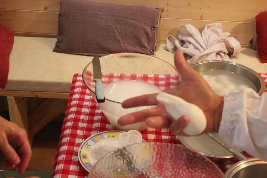 Matera: Mozzarella and Cheese tasting with a Cheesemaker - What you take home: vacuum-packed provolone or scamorza
