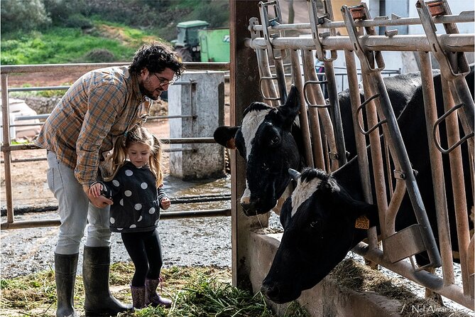 Menorca: Cheesemaking and Farm-Fresh Product Tasting - A cheese workshop that actually teaches you something