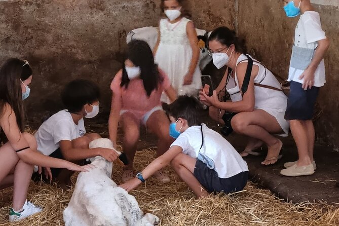 Menorca: Cheesemaking and Farm-Fresh Product Tasting - Kids get the Master Cheese Maker certificate