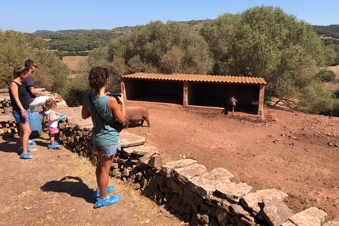 Menorca: Cheesemaking and Farm-Fresh Product Tasting - Price and value: what $70.88 buys you on Menorca