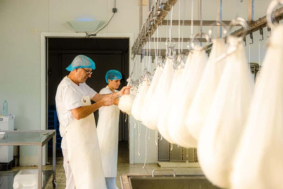 Menorca: Guided visit to the Subaida cheese factory, - Key things you’ll notice on this Subaida visit