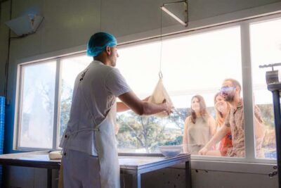 Menorca: Guided visit to the Subaida cheese factory, - Touring the farm: cowshed, milking room, and bottle-feeding calves