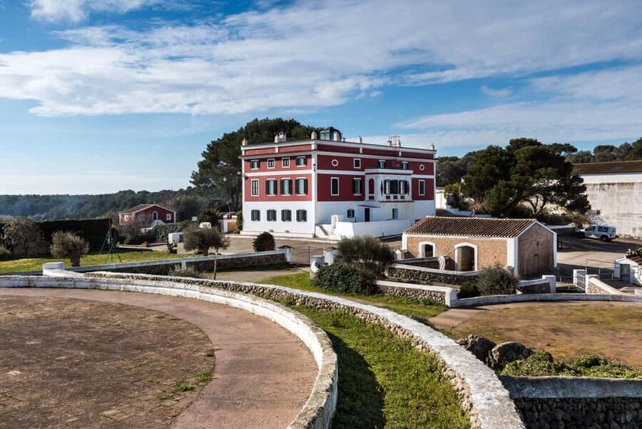 Menorca: Guided visit to the Subaida cheese factory, - The tasting finale: four Mahón-Menorca cheeses plus island classics