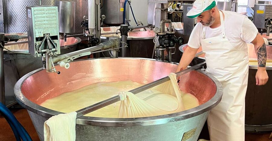 Modena/Bologna: Ferrari, Lambo, Cheese, Vinegar Tour w/Lunch - Key things to know before you go