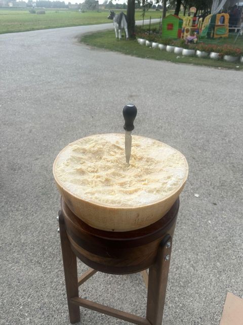 Modena/Bologna: Ferrari, Lambo, Cheese, Vinegar Tour w/Lunch - Parmigiano Reggiano farm visit: what you’re really learning