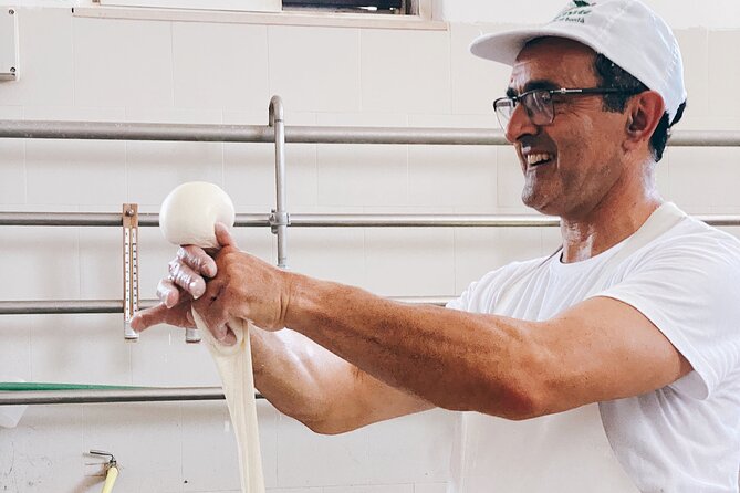 Mozzarella Experience - Cheese Tour and tastings to Masseria Fragnite - From milking parlor to the working dairy: what you’ll actually see