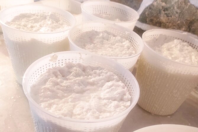 Naxos Farm Experience and cheese making - Cheese Tasting and Farm Wine: What’s on the Plate
