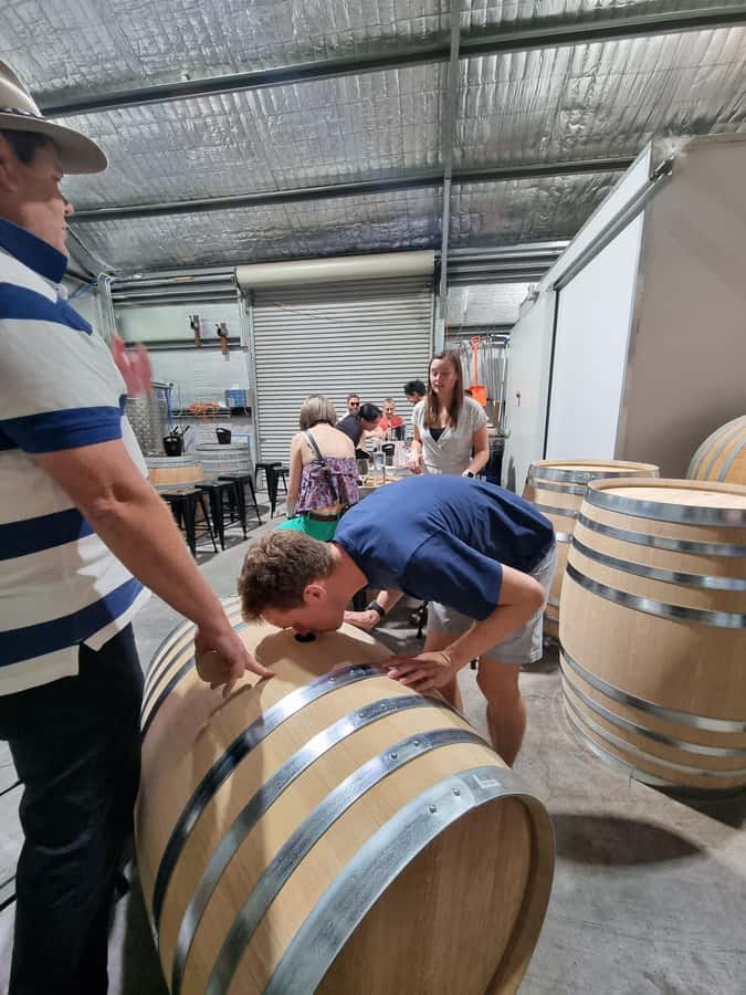 Newcastle: Hunter Valley Wine, Gin, Cheese & Chocolate Tour - Cheese, Wine, and That Pairing Moment You’ll Remember