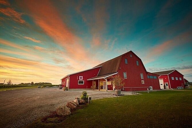 Niagara-on-the-Lake Late Afternoon Wine, Cheese and Spirits Tour - Should You Book This Tour?
