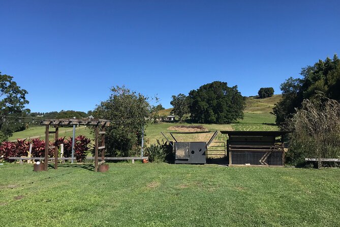Noosa Hinterland Tour with Lunch, Wine & Cheese Tasting & more - Dingo Creek Vineyard: Wine and Cheese Pairing to End the Day
