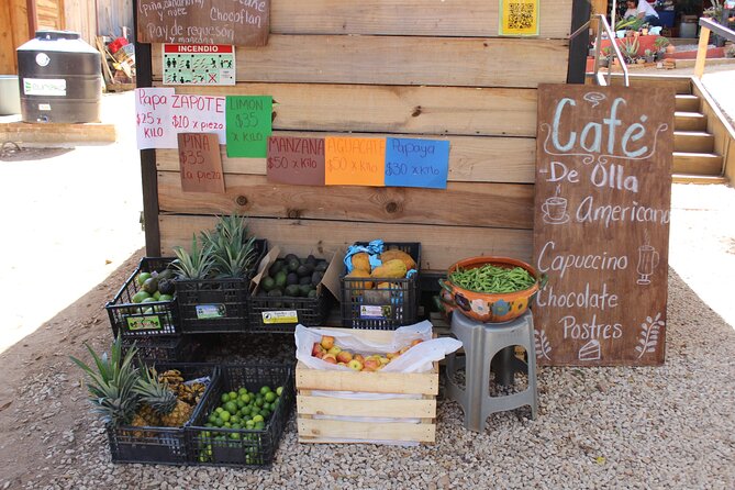 Oaxacan Cheese and Quesillo Workshop - Private and in English: Who This Workshop Fits Best