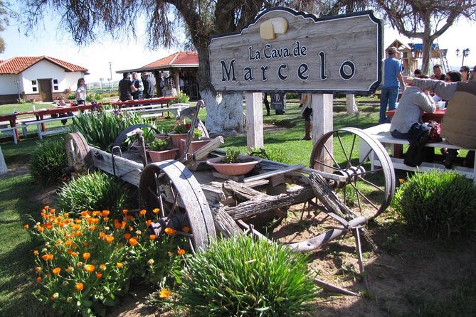 Ojos Negros Valley Wine and Cheese Route Tour in Baja California - Key things that make this tour worth your time