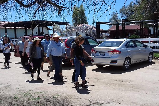 Ojos Negros Valley Wine and Cheese Route Tour in Baja California - The Infinito wine tasting detail: what’s included and what’s subject to availability