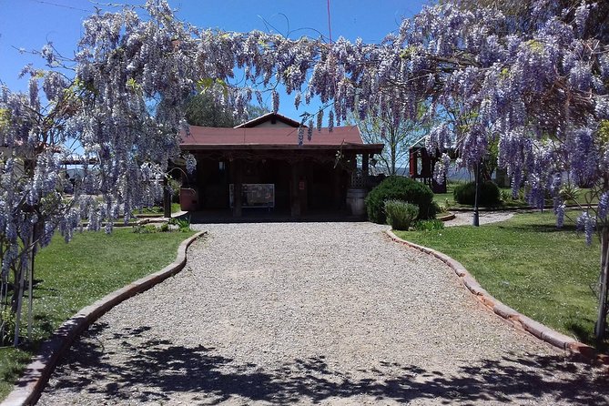 Ojos Negros Valley Wine and Cheese Route Tour in Baja California - The drive east of Ensenada brings you into the Ojos Negros Valley story