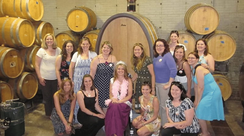 Ontario: Afternoon Wine Tour and Cheese Pairing - Key highlights you’ll care about