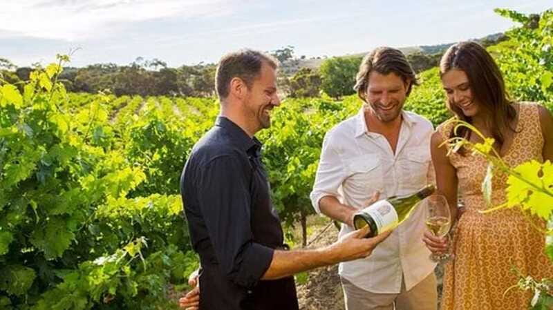 Ontario: Afternoon Wine Tour and Cheese Pairing - Niagara-on-the-Lake in 4 Hours: What You’ll Actually Do