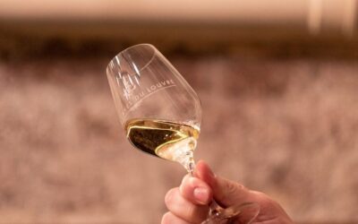 Paris: Apéro Wine and Cheese Tasting Experience - Finding Les Caves du Louvre and settling in