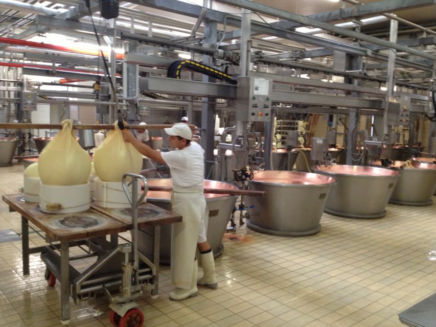Parma: Parmigiano Reggiano Farm Tour & Tasting with Transfer - Key highlights you’ll actually notice