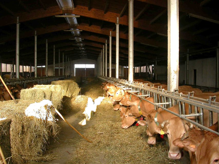 Parma: Parmigiano Reggiano Farm Tour & Tasting with Transfer - Aging in stagionatura: the smell, the scale, and the reason it tastes different